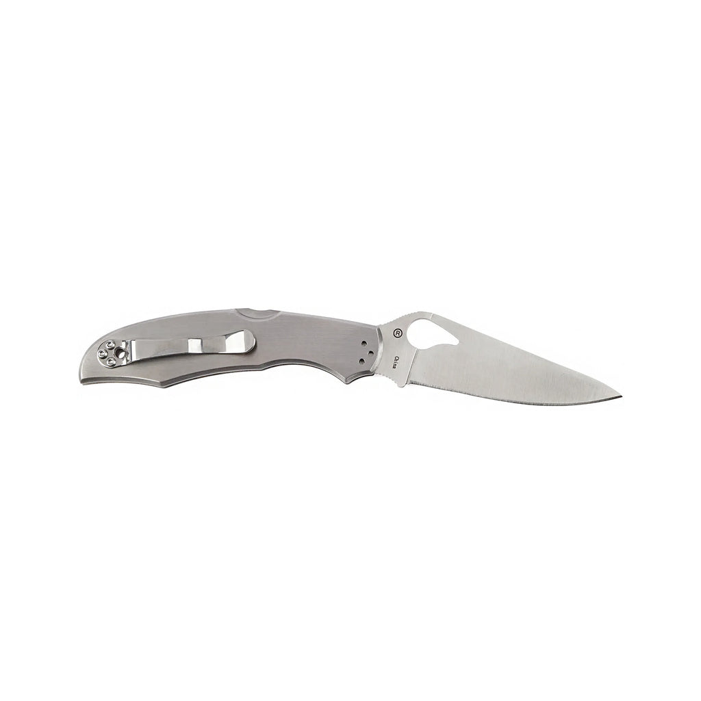 Ніж Spyderco Byrd Cara Cara2 Stainless
