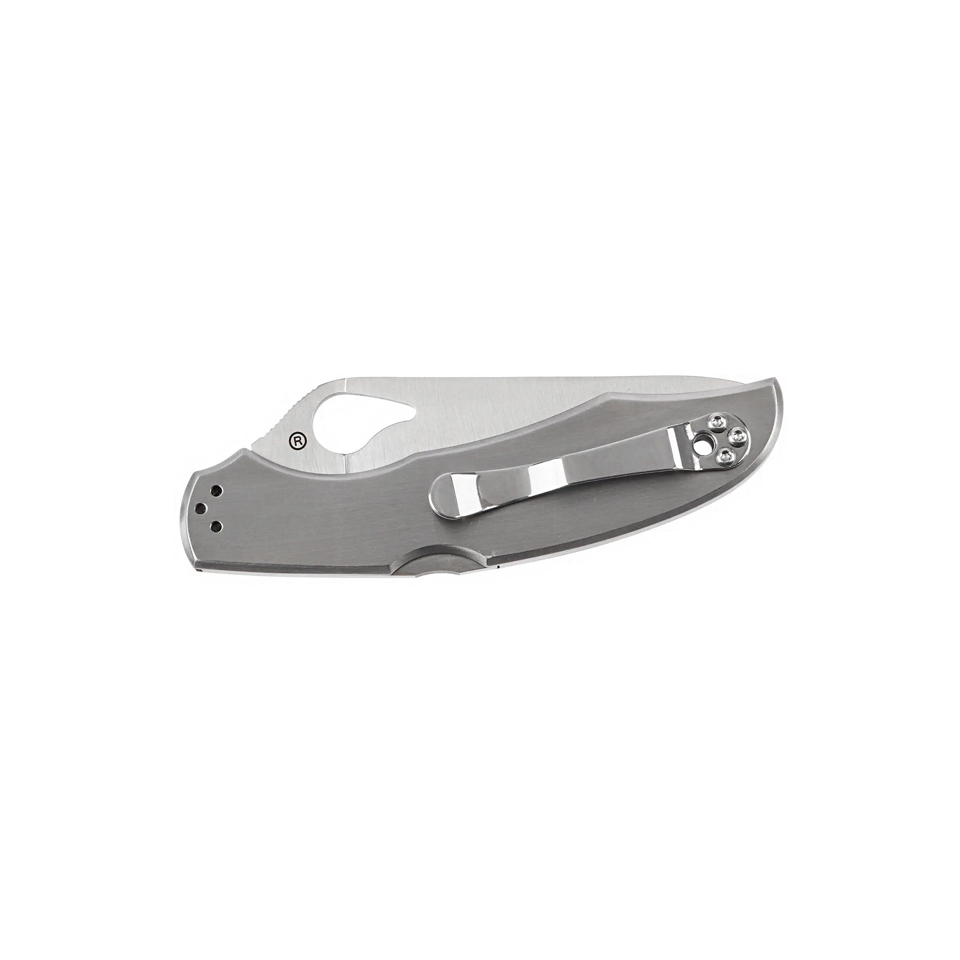 Ніж Spyderco Byrd Cara Cara2 Stainless
